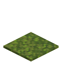 Moss Carpet