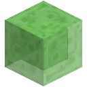 Slime Block