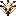 Sol Visage
