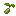 Barley Seed
