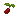 Bean Seed
