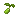 Brusselsprout Seed