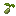 Cabbage Seed