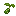 Cactusfruit Seed