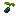 Candleberry Seed