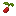 Cranberry Seed