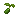 Cucumber Seed