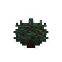 Frost Garden