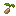 Ginger Seed