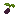Huckleberry Seed