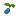 Juniperberry Seed