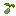 Jute Seed