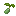 Kale Seed