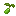 Lettuce Seed