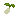 Millet Seed