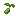 Okra Seed