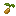 Peanut Seed