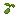 Peas Seed