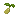 Quinoa Seed