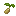 Sunchoke Seed