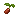 Tomato Seed