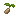 Waterchestnut Seed