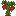 Cashew Sapling