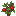 Cherry Sapling