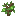 Chestnut Sapling