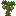 Coconut Sapling