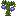 Fig Sapling