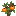 Grapefruit Sapling
