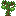 Guava Sapling