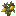 Lemon Sapling