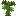 Lime Sapling