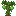 Olive Sapling