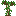 Paperbark Sapling 