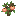 Peach Sapling