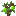 Pear Sapling
