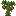 Pecan Sapling