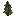 Pinenut Sapling