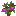 Plum Sapling