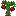 Pomegranate Sapling