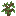Spiderweb Sapling