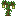 Starfruit Sapling