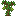 Vanillabean Sapling