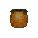 Apricot Fruit