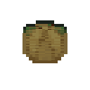 Nutmeg Fruit