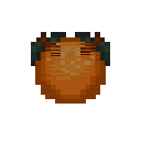 Orange Fruit