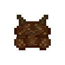 Pecan Fruit